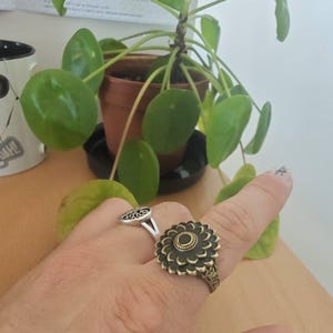 ODM added a photo of their purchase