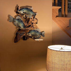 Brenda added a photo of their purchase