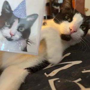 MadameWonka a ajouté une photo de son achat