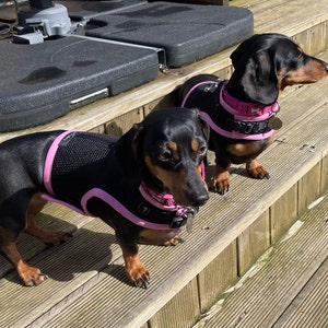 Rose added a photo of their purchase