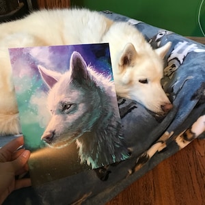 Amy added a photo of their purchase