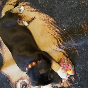Tony ha aggiunto una foto del proprio acquisto