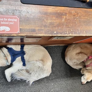 Steve added a photo of their purchase