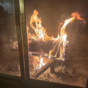 Kennedy added a photo of their purchase