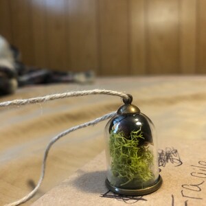 Beth added a photo of their purchase