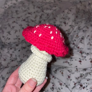 Hannah added a photo of their purchase