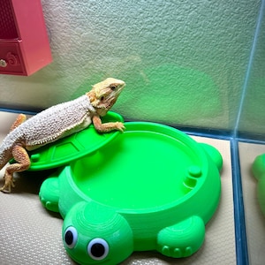Amanda added a photo of their purchase