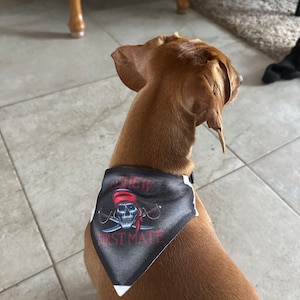 Lisa added a photo of their purchase