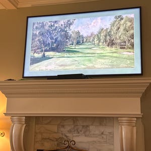 Hogan added a photo of their purchase