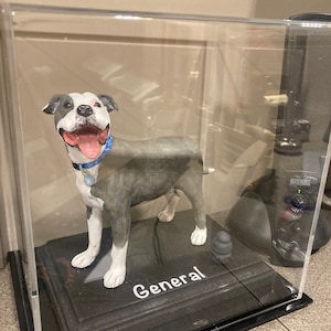 ANTHONY added a photo of their purchase
