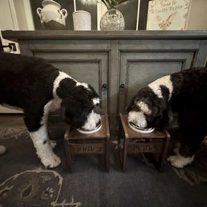 Bonnie added a photo of their purchase