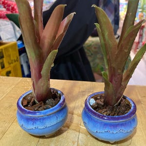 Christine さんが購入した商品の写真を追加しました
