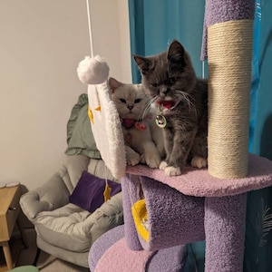 Deborah added a photo of their purchase