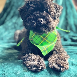 Holly added a photo of their purchase