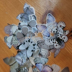 Rosie added a photo of their purchase