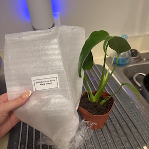 Emma added a photo of their purchase