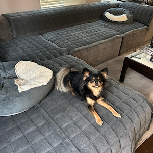 Aletha added a photo of their purchase