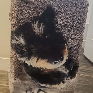Tammy hat ein Foto des gekauften Artikels hinzugefügt