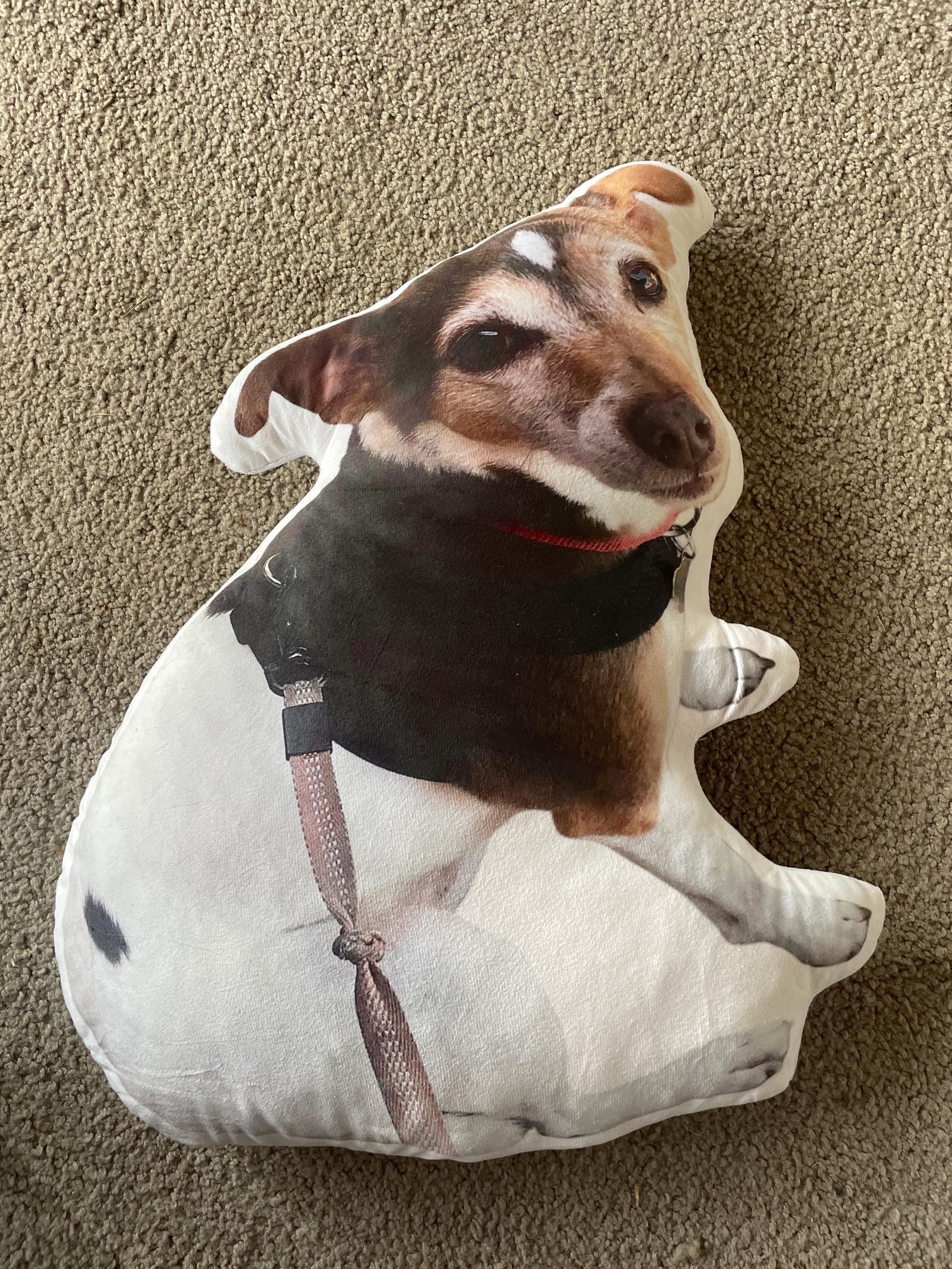 Custom Pet Pillow | Personalized Pillow | Pet Memorial Gift | Custom shaped pillow | Dog Pillow | Cat Pillow | Pet Lover Gift