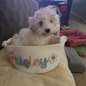 Chantel added a photo of their purchase