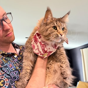 Sarah ha añadido una foto de su compra