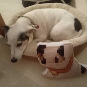 Sapo added a photo of their purchase