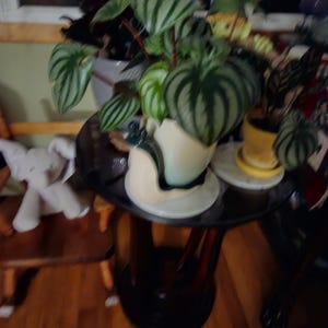 Lisa added a photo of their purchase