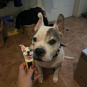 Kacey added a photo of their purchase
