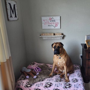 Dallas ha añadido una foto de su compra