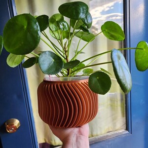Hannah added a photo of their purchase