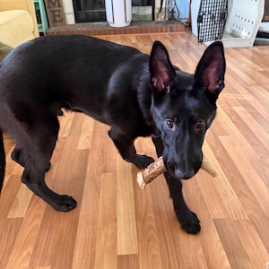 Molly added a photo of their purchase