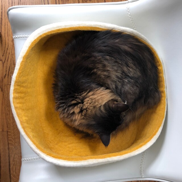 Wooly Bowls Modern Wool Cat Beds by WoolyBowls on Etsy