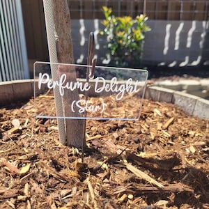 Cathleen added a photo of their purchase