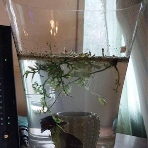 Heather added a photo of their purchase