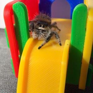 Cassandra hat ein Foto des gekauften Artikels hinzugefügt