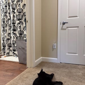 Chisato added a photo of their purchase