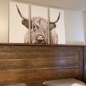 Alexis added a photo of their purchase