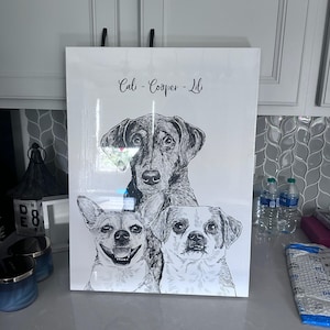 Amanda added a photo of their purchase