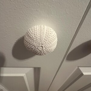 Lori added a photo of their purchase