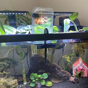 Heather added a photo of their purchase