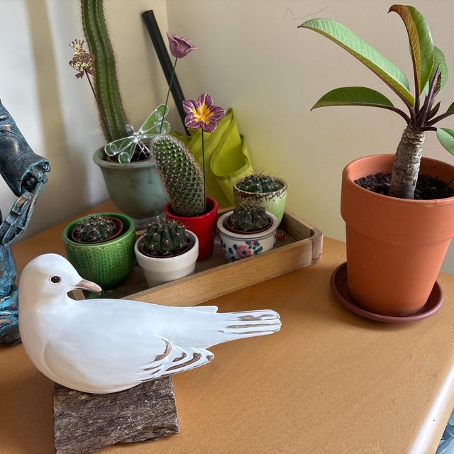 手彫りの木製白鳩 – 休息中 | 平和の鳩の彫刻 | 象徴的な贈り物 | 自然