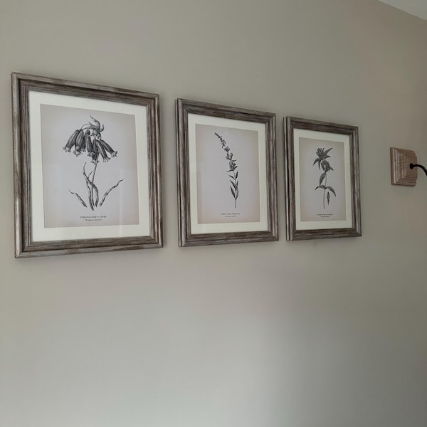 Vintage Botanical Prints Set of 8 Botanical Poster Wildflower Print ...