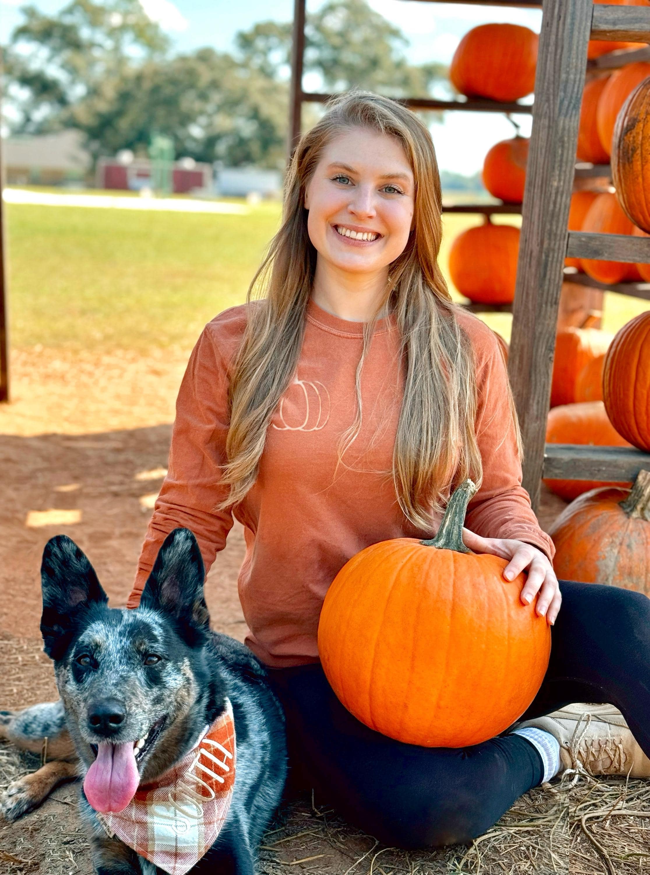 Pumpkin Comfort Colors Embroidered Tee - Pumpkin Outline T-Shirt - Simple Fall Pumpkin Crewneck T-Shirt - Minimal Fall Long Sleeve T-Shirt