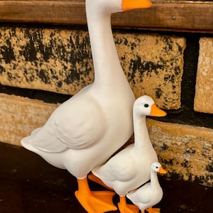 laurie added a photo of their purchase