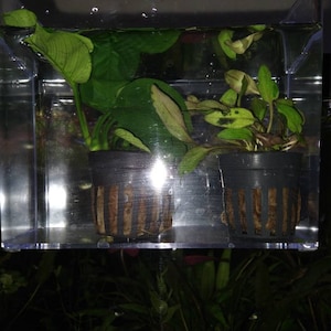 Angela added a photo of their purchase