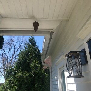 Comprador de Etsy ha añadido una foto de su compra