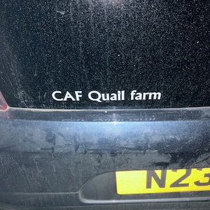 Carl hat ein Foto des gekauften Artikels hinzugefügt