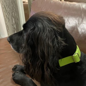 julie added a photo of their purchase