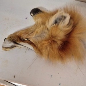 J.i. ha añadido una foto de su compra