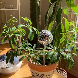 Dolores added a photo of their purchase